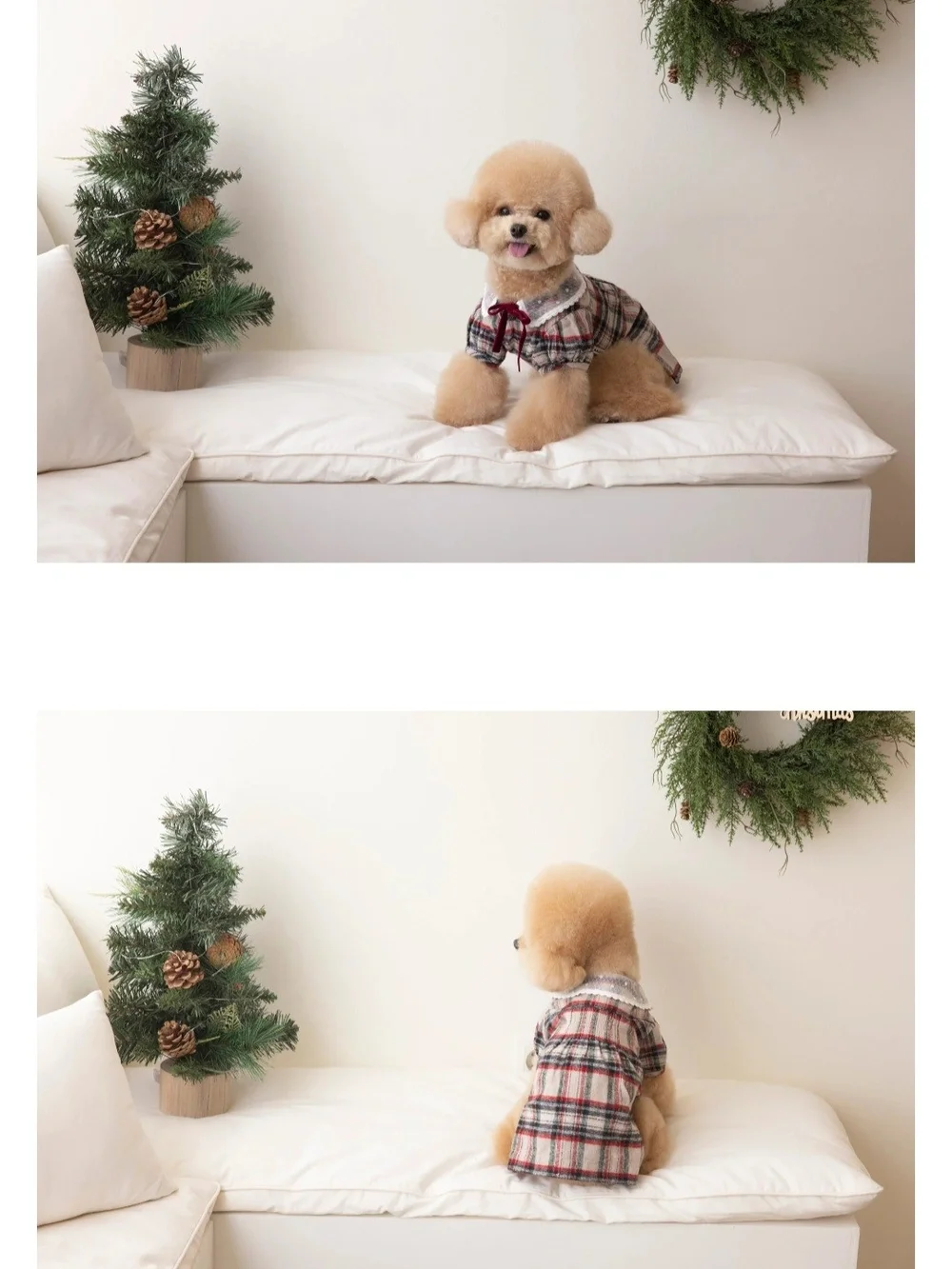 Plaid Lace-Collar Dog Blouse with Red Bow